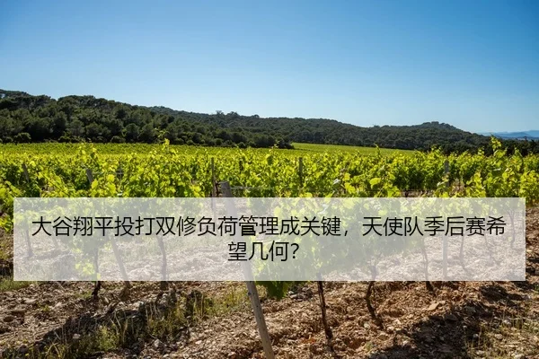 大谷翔平投打双修负荷管理成关键，天使队季后赛希望几何？